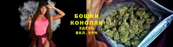 прущие грибы Нягань