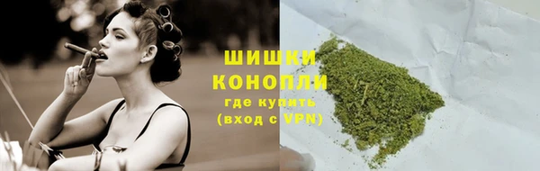 прущие грибы Нягань
