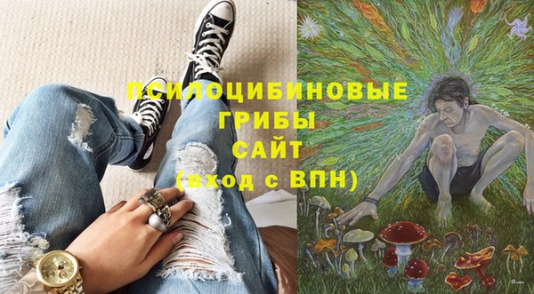 MDMA Premium VHQ Нязепетровск
