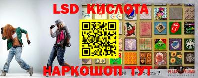 крисы Кинель