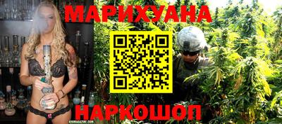 крисы Кинель