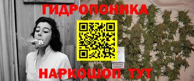 a pvp Кимры