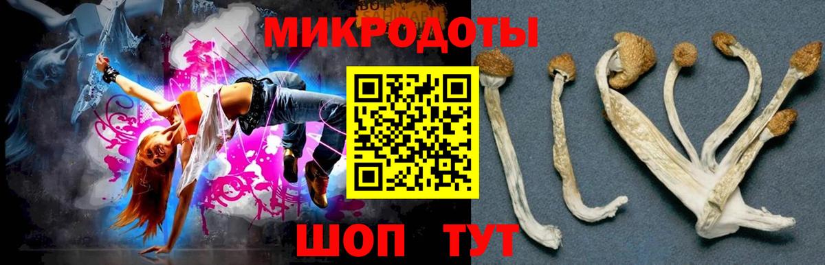 Псилоцибиновые грибы GOLDEN TEACHER  Вход с VPN  Галлюциногенные грибы мицелий  Родники 