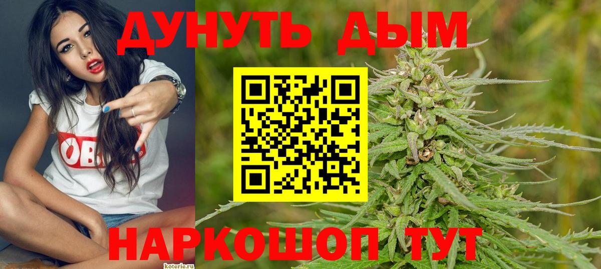 МАРИХУАНА план  Родники  Канабис сатива 